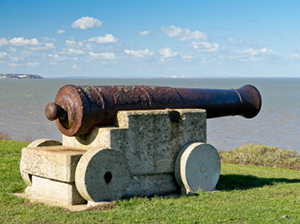 Cannon